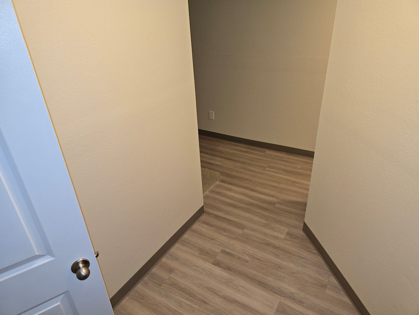 Apartment Move-in / Move-out Cleaning