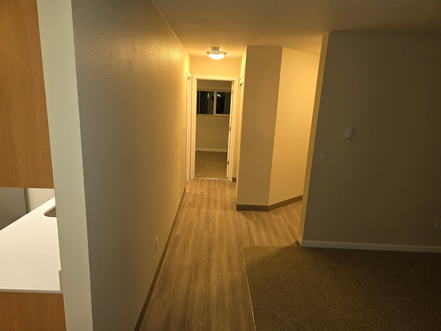 Apartment Move-in / Move-out Cleaning